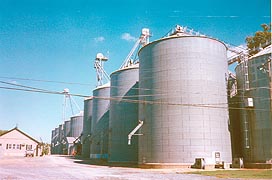 [photo, Grain silos, Wye Mills (Queen Anne's County), Maryland]
